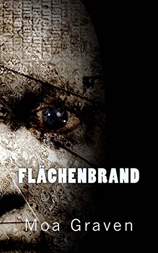 Flaechenbrand: Profiler Jan Krömer Band 5 (Jan Krömer Krimi-Reihe, Band 5) von Cri.KI-Verlag